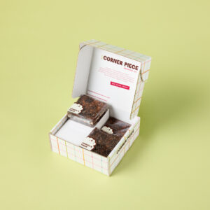 Corporate Gift Brownies